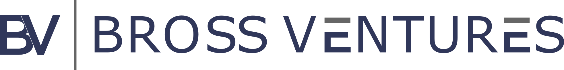 bross ventures logo